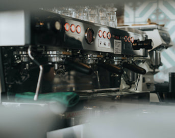 Which coffee bean is best to roast?