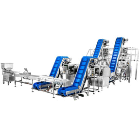 SCAYL Crisps Packing Line